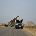Mbazi Safaris - Kruger National Park Tour Operator