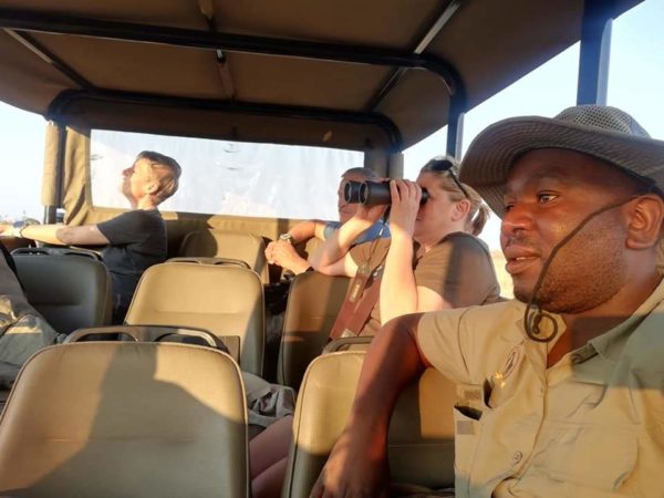 Guests watching wildlife from a Mbazi Safaris game-viewing vehicle